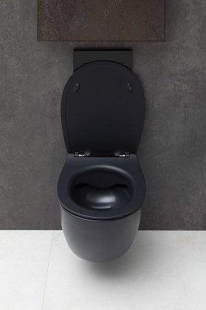 Унитаз Allen Brau Fantasy 4.11004.31 подвесной Черный матовый без сиденья 