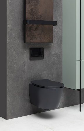 Унитаз Allen Brau Fantasy 4.11004.31 подвесной Черный матовый без сиденья 