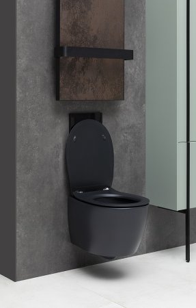 Унитаз Allen Brau Fantasy 4.11004.31 подвесной Черный матовый без сиденья 