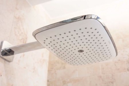 Верхний душ Hansgrohe PuraVida 39 27437400 Белый/Хром 