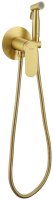 Гигиенический душ со смесителем  Raglo R10.52.03, сатин золотой