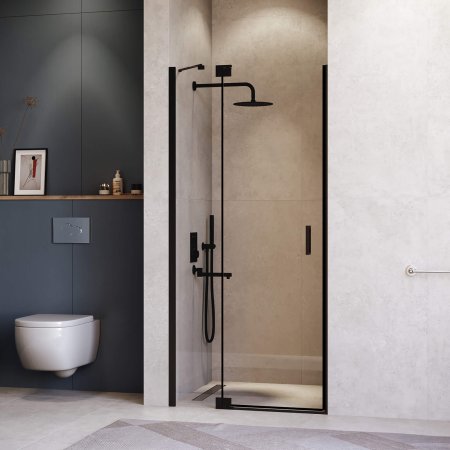 Душевая дверь RGW HO-014B 900 