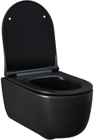Унитаз Allen Brau Priority 4.31002.31 подвесной Черный матовый без сиденья 