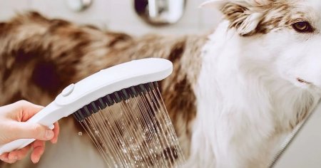 Ручной душ Hansgrohe DogShower 26640540 для собак Бирюзовый 