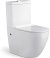 Унитаз компакт Azario Corsa AZ-2062S с бачком и сиденьем Микролифт 