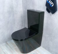 Напольный унитаз с бачком Gid Tr2179BL