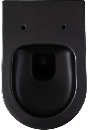 Унитаз Allen Brau Priority 4.31001.31 подвесной Черный матовый без сиденья 