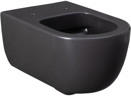 Унитаз Allen Brau Priority 4.31001.AN подвесной Антрацит без сиденья 
