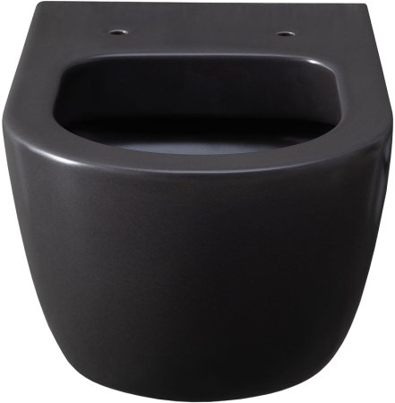 Унитаз Allen Brau Priority 4.31001.AN подвесной Антрацит без сиденья 