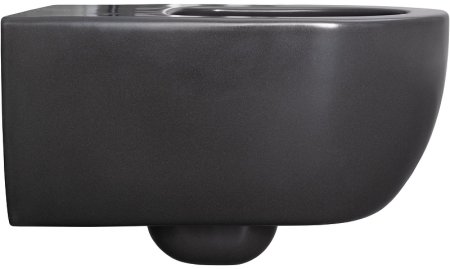 Унитаз Allen Brau Priority 4.31001.AN подвесной Антрацит без сиденья 