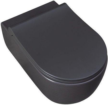 Унитаз Allen Brau Priority 4.31001.AN подвесной Антрацит без сиденья 
