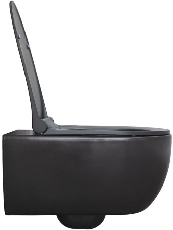 Унитаз Allen Brau Priority 4.31001.AN подвесной Антрацит без сиденья 