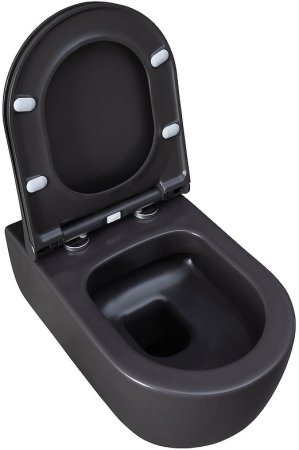 Унитаз Allen Brau Priority 4.31001.AN подвесной Антрацит без сиденья 