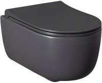 Унитаз Allen Brau Priority 4.31002.AN подвесной Антрацит без сиденья Унитаз Allen Brau Priority 4.31002.AN подвесной Антрацит без сиденья