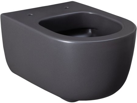 Унитаз Allen Brau Priority 4.31002.AN подвесной Антрацит без сиденья 