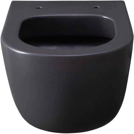 Унитаз Allen Brau Priority 4.31002.AN подвесной Антрацит без сиденья 
