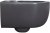 Унитаз Allen Brau Priority 4.31002.AN подвесной Антрацит без сиденья 