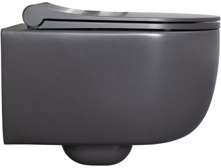 Унитаз Allen Brau Priority 4.31002.AN подвесной Антрацит без сиденья 