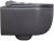 Унитаз Allen Brau Priority 4.31002.AN подвесной Антрацит без сиденья 