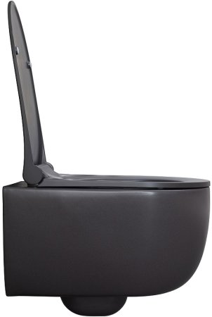 Унитаз Allen Brau Priority 4.31002.AN подвесной Антрацит без сиденья 