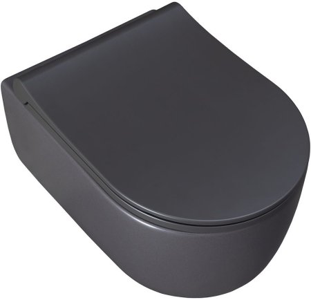 Унитаз Allen Brau Priority 4.31002.AN подвесной Антрацит без сиденья 