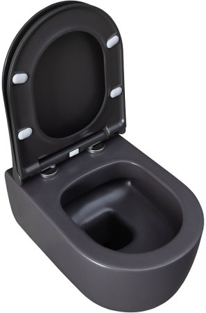 Унитаз Allen Brau Priority 4.31002.AN подвесной Антрацит без сиденья 