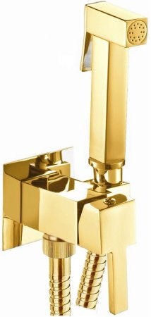 Гигиенический душ со смесителем Webert Pegaso PE870303010 Золото 