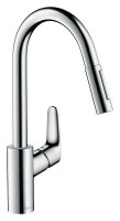 Смеситель для кухонной мойки Hansgrohe Focus 31815000