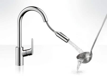 Смеситель для кухонной мойки Hansgrohe Focus 31815000 