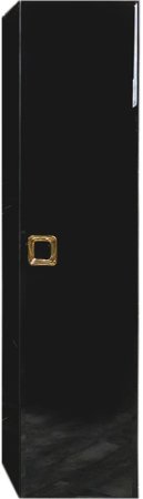 Шкаф пенал Boheme Armadi Art Lucido 35 772-GB подвесной Черный глянцевый 