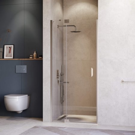 Душевая дверь RGW HO-014 1000 