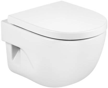 Унитаз Roca Meridian 346248000 подвесной без сиденья 