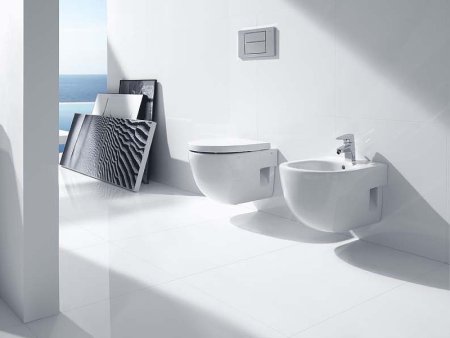 Унитаз Roca Meridian 346248000 подвесной без сиденья 