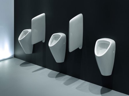 Писсуар Laufen Caprino 8.4206.1 Белый 