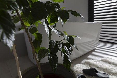 Акриловая ванна Allen Brau Infinity 3 170x78 2.21003.20 без гидромассажа 