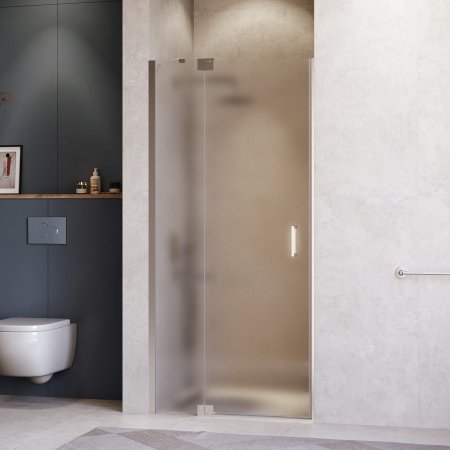 Душевая дверь RGW HO-014 1200 