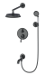 Душевая система встраиваемая WONZON & WOGHAND, Темный графит (WW-88939008-BGM) 