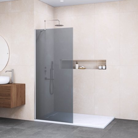 Душевая перегородка RGW WA-102 1000 