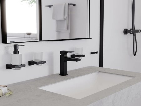 Двойной крючок Hansgrohe AddStoris 41755700 Белый матовый 
