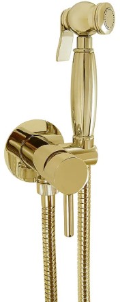 Гигиенический душ со смесителем Giulini Futuro RU-GIU.FSH25/1531DOR Золото 24 карат 