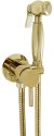 Гигиенический душ со смесителем Giulini Futuro RU-GIU.FSH25/1531DOR Золото 24 карат 