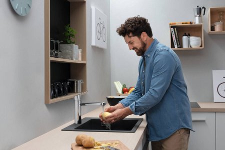 Смеситель Hansgrohe Focus M43 71816000 для кухонной мойки, хром 