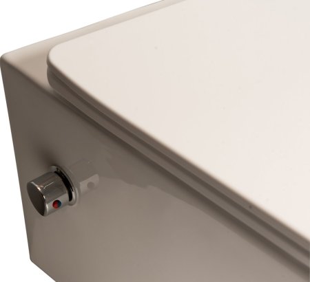 Унитаз подвесной SantiLine SL-5004SM-BD безободковый, с микролифтом 