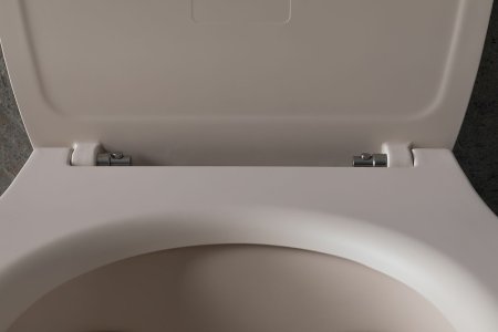 Унитаз Allen Brau Fantasy 4.11004.IV подвесной Айвори без сиденья 