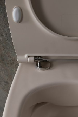 Унитаз Allen Brau Fantasy 4.11004.IV подвесной Айвори без сиденья 