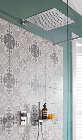 Душевая лейка Villeroy & Boch Embrace Plus TVS1084140261 