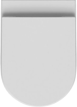 Унитаз Allen Brau Reality 4.32004.20 приставной Белый без сиденья 