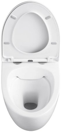 Унитаз Black&White Universe W-751 751w00 подвесной с сиденьем Микролифт 