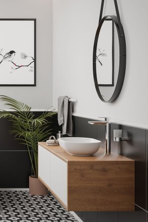 Раковина-чаша Deante Peonia 55 CDE_6U6S Белая 