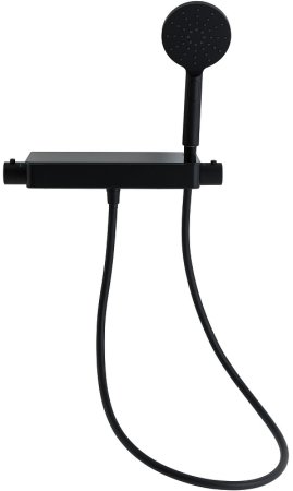 Смеситель для душа Allen Brau Fantasy 5.11002-31 с термостатом Черный матовый 